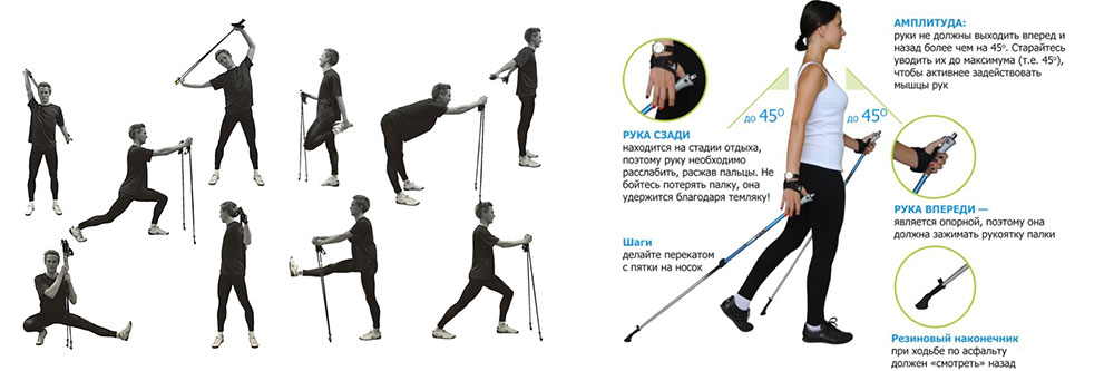 разминка перед скандинавской ходьбой